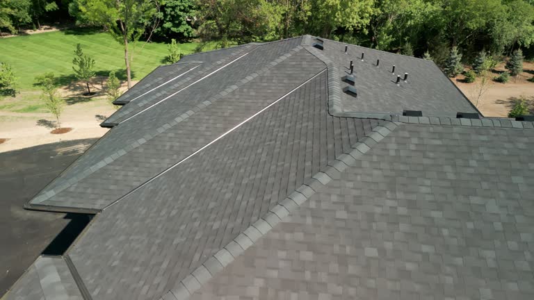 Best Storm Damage Roof Repair  in Laredo, TX