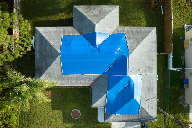 Best Steel Roofing  in Laredo, TX