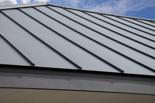 Best Solar Panel Roofing Installation  in Laredo, TX
